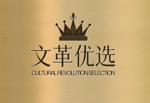 文革优选